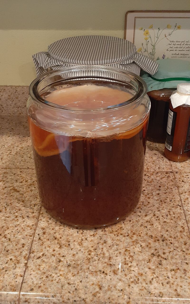 Kambucha01