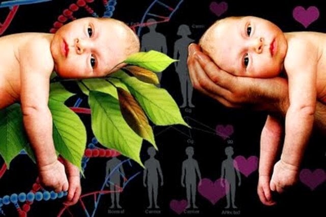 Nature Nurture
