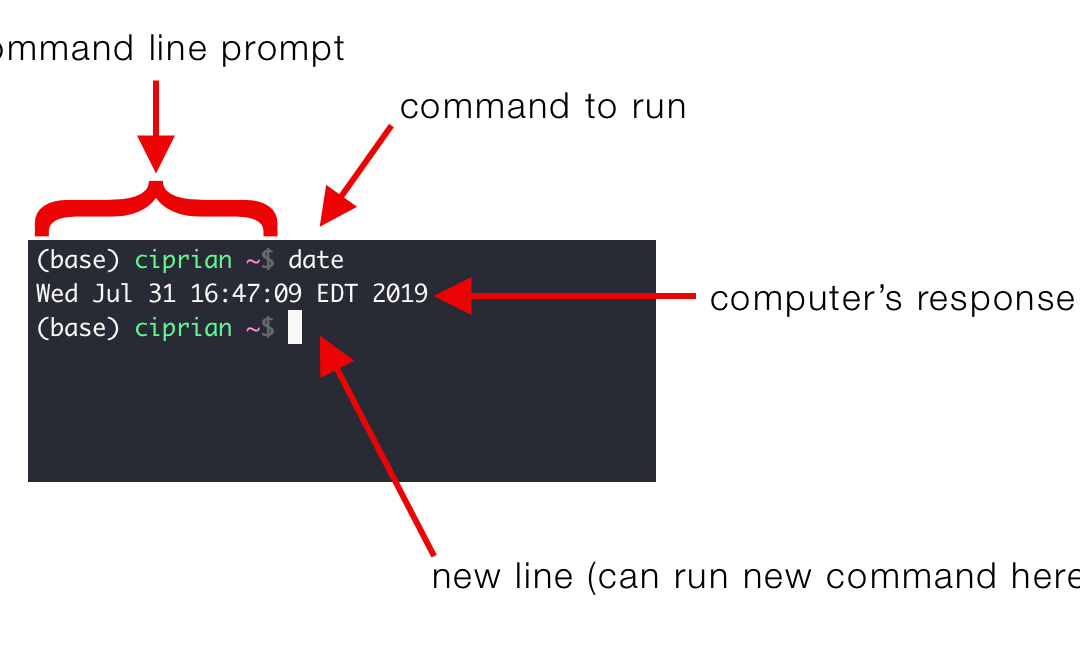 The Command Line